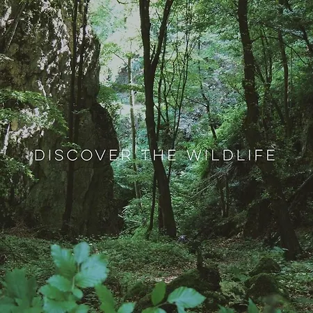 Villa Pradnik Valley