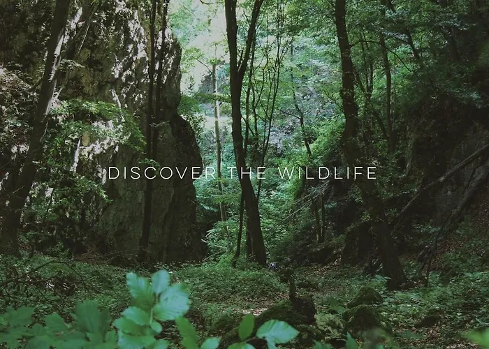 Villa Pradnik Valley